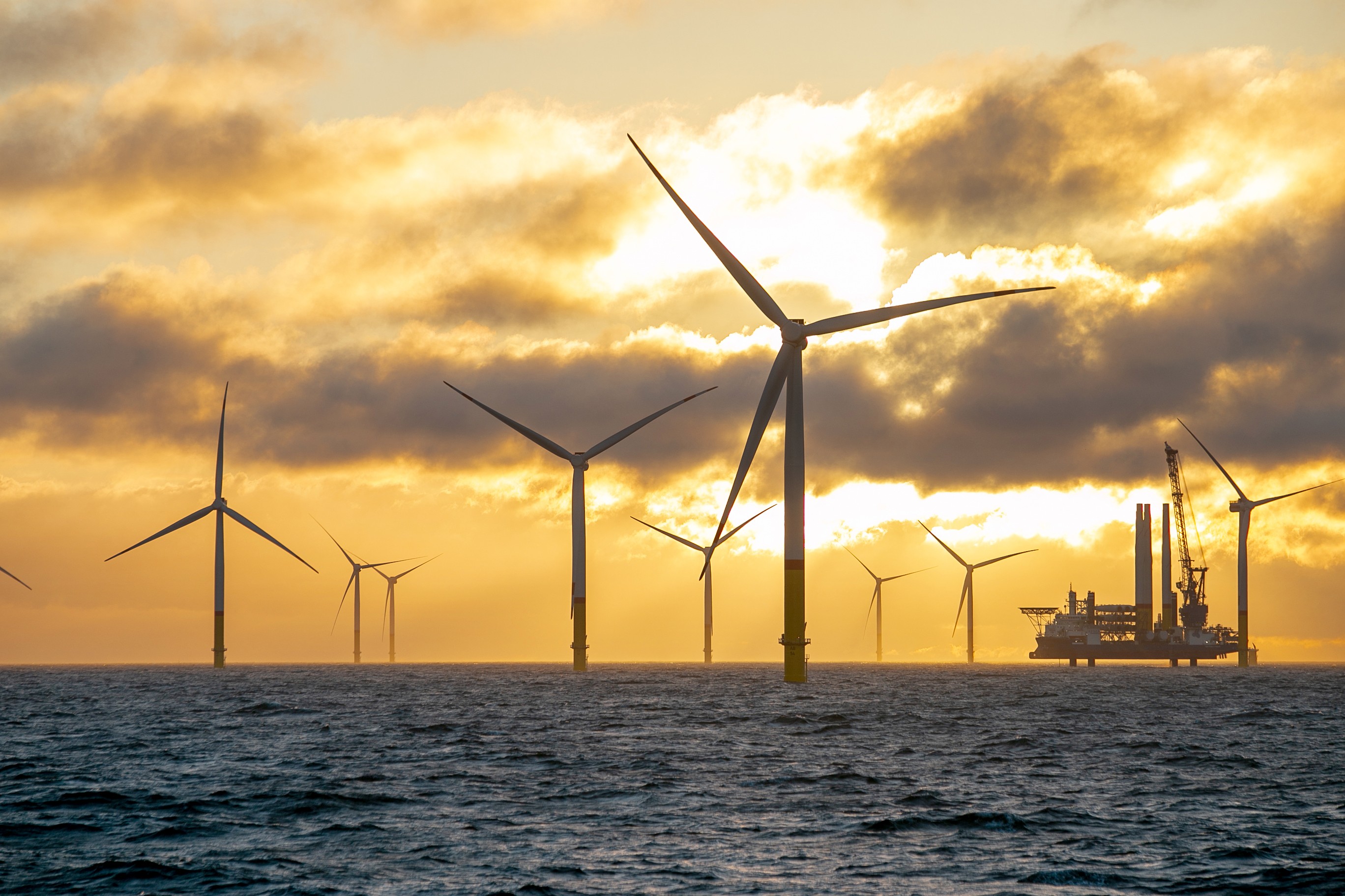 Wie Viel Kostet Ein Offshore Park www.rhenus.group