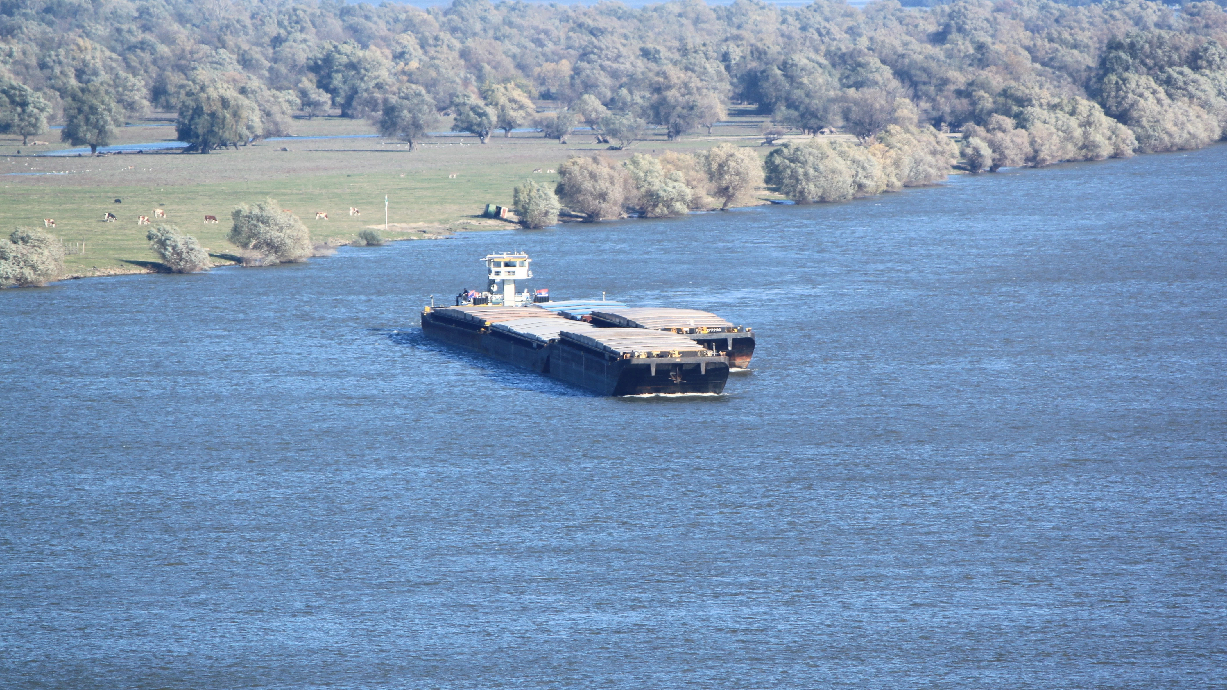 Jednostyki typu push-pull