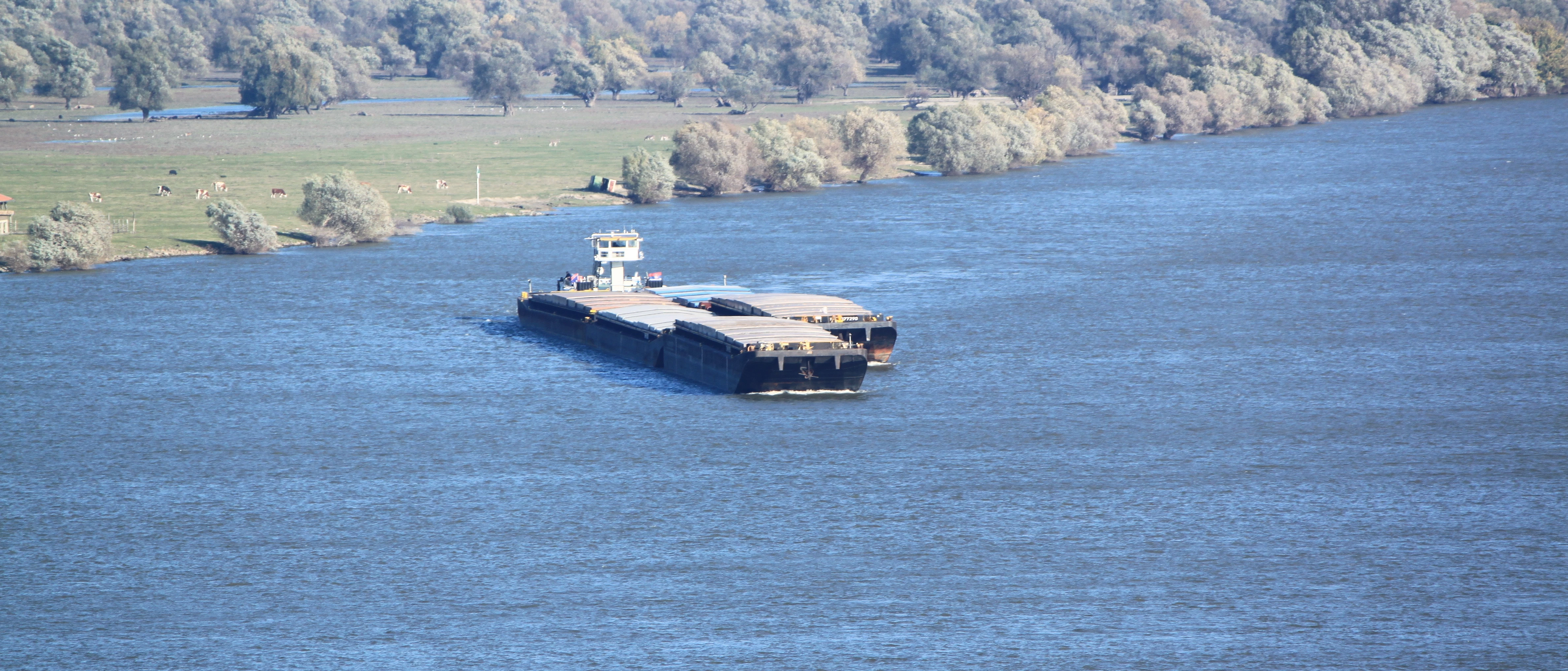 Jednostyki typu push-pull