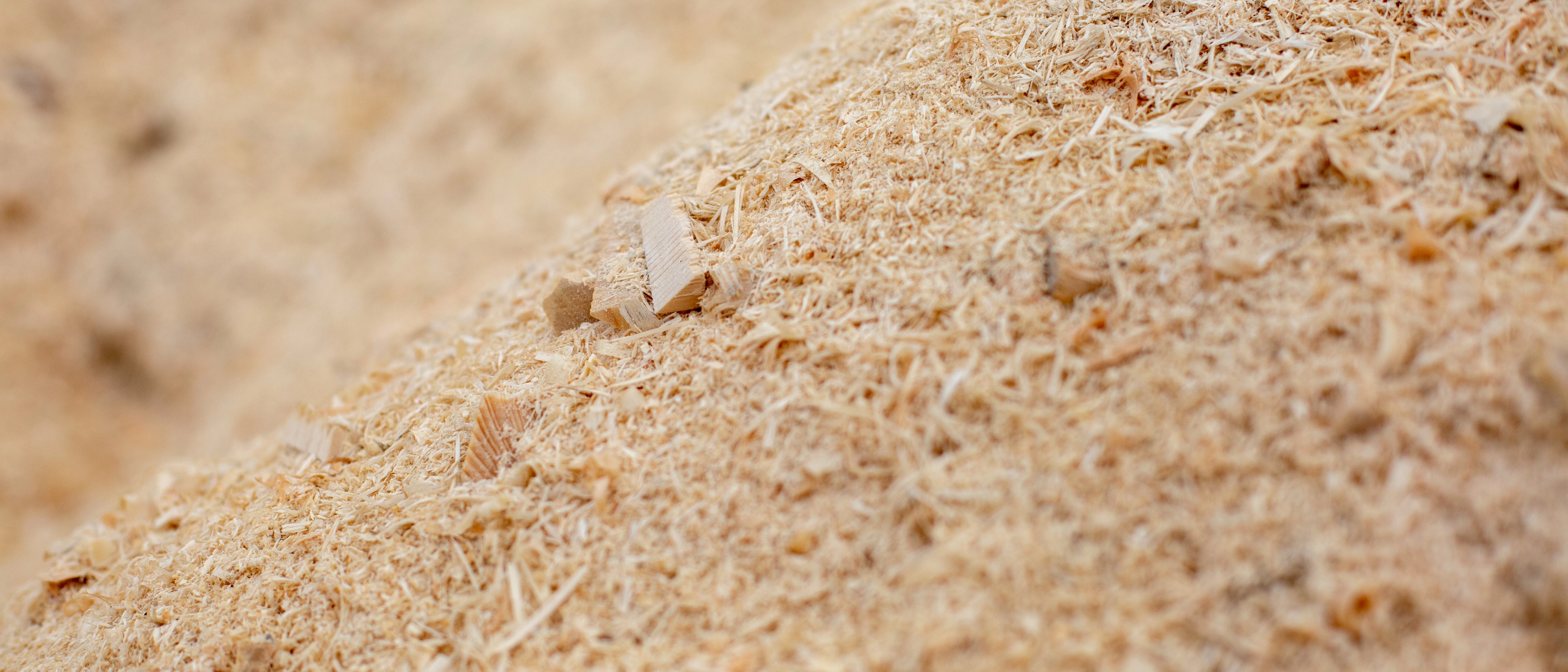 거친 입자가 포함된 게이트 칩