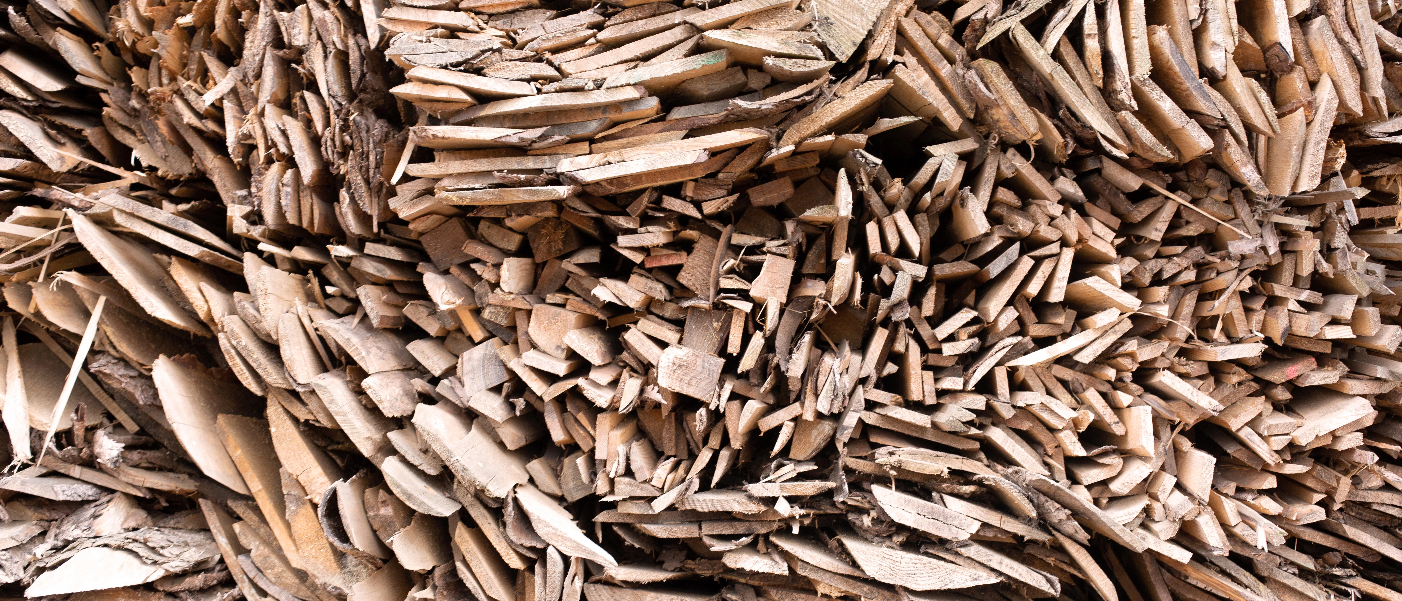 Cut woods Cut woods