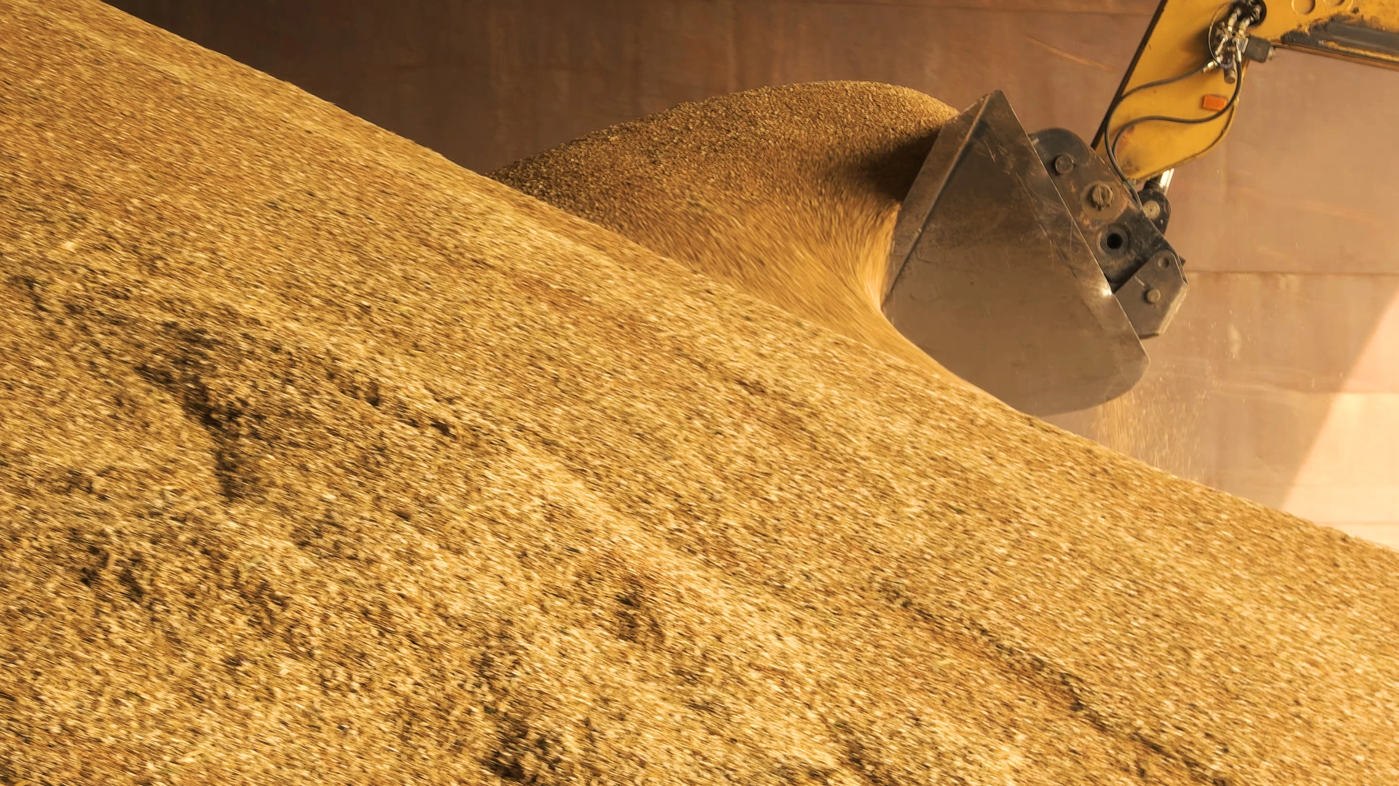 곡물 보관 곡물 보관