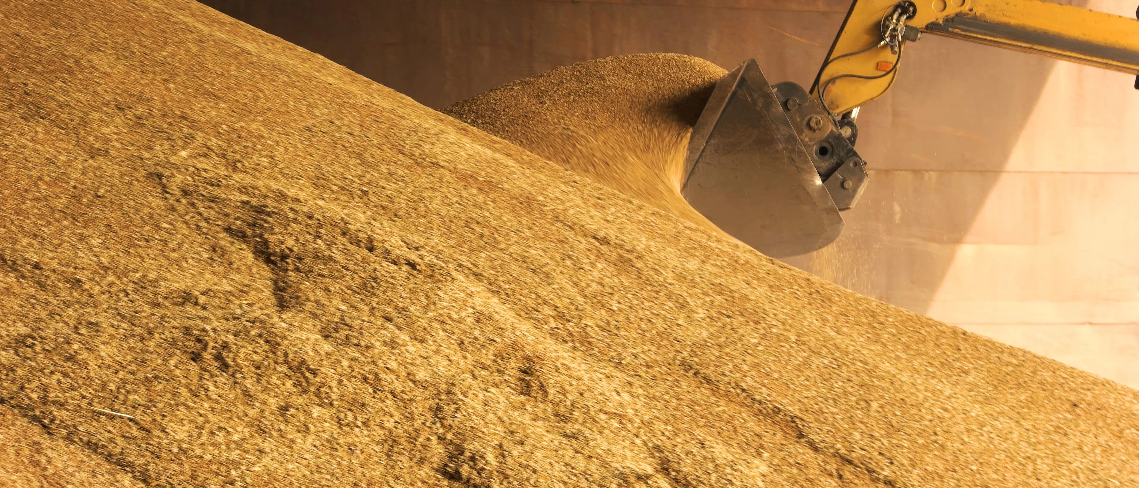 Grain storage Grain storage
