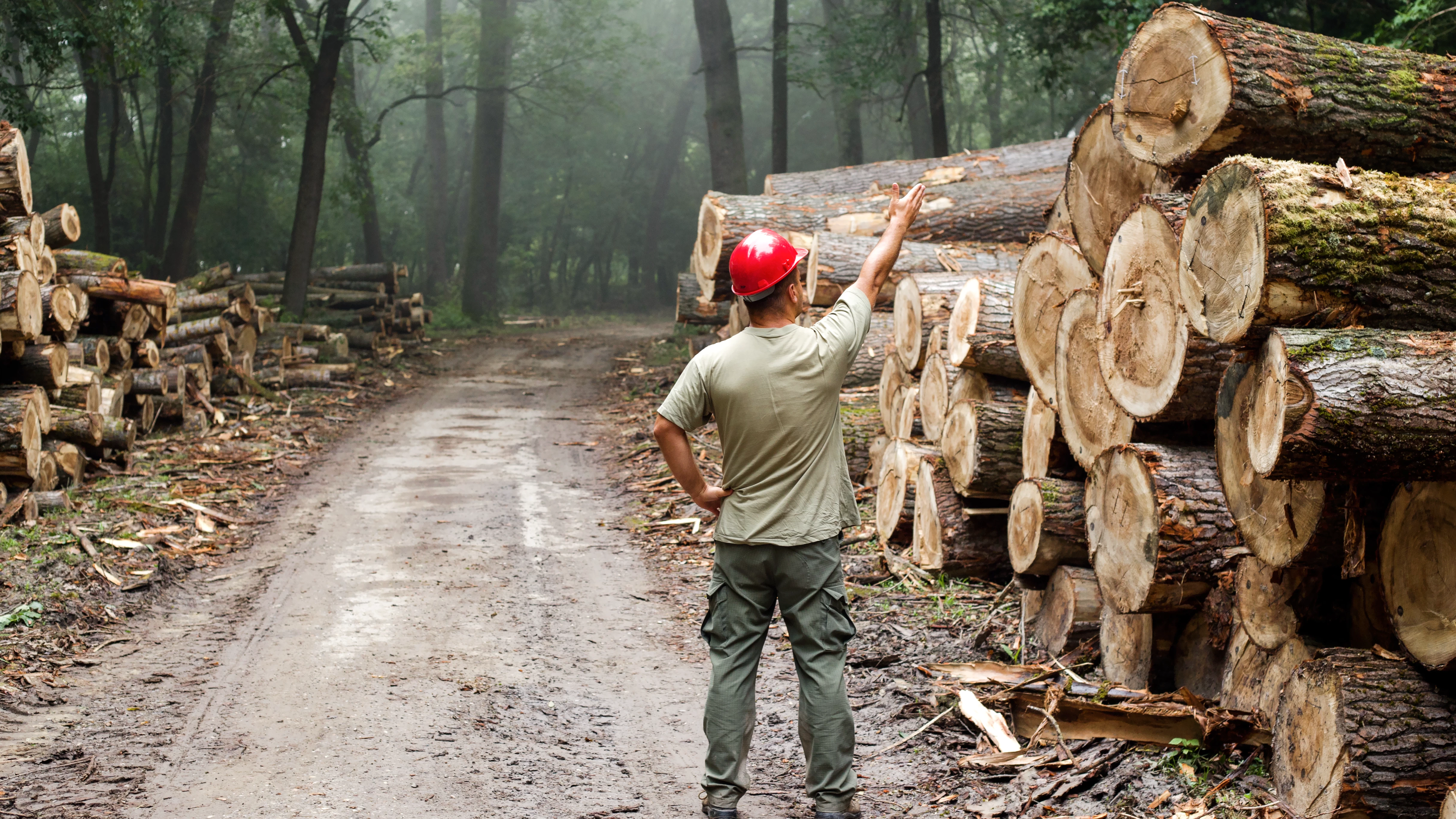 둥근 목재의 보관