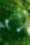 Ein Kreislauf-Icon in einem Wald oder Dschungel repräsentiert den Aufruf zum Recycling. Es geht um klimaneutrale Aktenvernichtung.