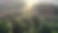 Videoaufnahme eines von der Sonne angestrahlten Laubwaldes von oben