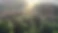 Videoaufnahme eines von der Sonne angestrahlten Laubwaldes von oben